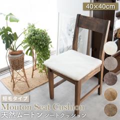 �y2���Z�b�g�z ���[�g���V�[�g�N�b�V���� �Z�у^�C�v 40�~40cm (�唻�T�C�Y) �є� ���[�g���N�b�V���� ���[�g�� �N�b�V���� ���z�c �\�t