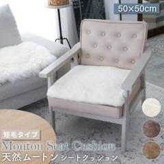���[�g���V�[�g�N�b�V���� �Z�у^�C�v 50�~50cm (�唻�T�C�Y) �є� ���[�g���N�b�V���� ���[�g�� �N�b�V���� ���z�c �\�t�@�[ �g���� �Z