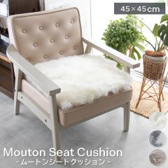 �y1���z ���[�g���V�[�g�N�b�V���� 45�~45cm �E���^������ �J�[�V�[�g�N�b�V���� �傫�� �V�[�g�N�b�V���� �V�[�g ���у^�C�v �є� ���[