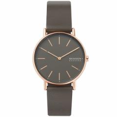 XJ[Q SKAGEN rv fB[X VOl`[ SIGNATUR SKW2794