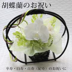 ���� �������j�� ���� �����v���[���g �����̂��j�� �����j�� �����j�� �v���U�[�u�h�t�����[ �� �a���� �Ӓ��� ���j�� 90�� �� �a�����v