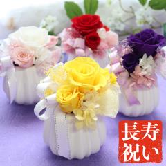 �S�� ���� ���� �Ď� �P�� ��� �Ê� �җ� ���j�� �����j�� �v���U�[�u�h�t�����[ �� �N���A�P�[�X �S���j�� �җ�j�� �Ê�j�� ����j��