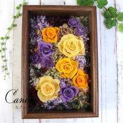 �t���[���t�����[ �t�����[�t���[���@�v���U�[�u�h�t�����[ �a���� �M�t�g ������� �h�V�̓� �v���[���g �� �Ê� ��� ���� �� ��N�ސE