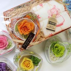 �v���U�[�u�h�t�����[ �G�� �a���� �җ�j�� �� ��̓� �� ���[�~��  �a���� ����  ��̓� ��  ���[�~�� �v���[���g ���ꂳ��  �� �M�t�g