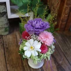 �v���U�[�u�h�t�����[ ���� �~�j ������ �y�b�g ������� ������݂̉� �y�b�g ������� �� �v���U�[�u�h�t�����[  ������ �������A�� ��