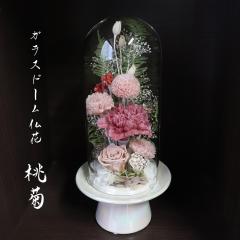 �v���U�[�u�h�t�����[ ���� �h�[�� �K���X�h�[�� ���� �v���U�[�u�h�t�����[ �h�[�� �傫�� �傫�� ���~ ������ ��  ������� ���� �r��