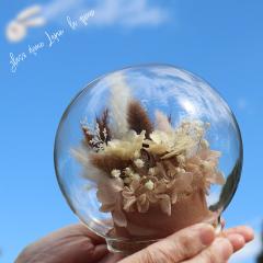 �v���U�[�u�h�t�����[ �K���X�h�[��  �a���� �ސE�j�� �o�� ���[�Y  �d�� ������  �V�z�j�� ���j��  �搶 ���e �v���[���g �h�[��   ����