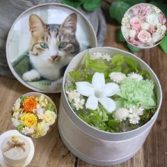 �y�b�g ������ �y�b�g�̂����� ���{��  ������� ������݂̉�  ������� �� �ʐ^ �v���U�[�u�h�t�����[  �ʐ^  �������A�� ��  �L �� ��