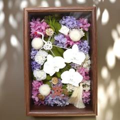 �S�΂��j�� �S�� �j�� �v���[���g  ���� �����j�� �v���[���g �����̂��j�� �v���U�[�u�h�t�����[ �R�`���E���� �Ӓ��� ���� �����j�� ��