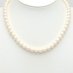 �y��{���X/���Z�g�z�~�L���g/MIKIMOTO�@K18WG�@�p�[�� �`���[�J�[�@�p�[��7.5-7.9mm�@42cm�y���Áz