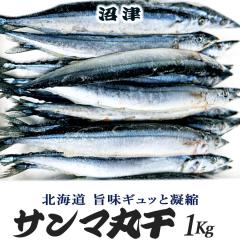 ���� ���� ����܊ۊ��� 1Kg ��15�`18�C �l�C �k�C�� �H���� �T���} �����Z�b�g �F�[�Ă�  �|���Ïk �Ă��������� �Ђ��� ���ÊC�Y������