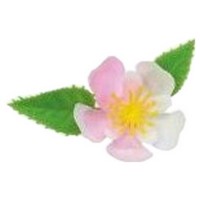 ���ԁ@�~�j���@DK-51�@1000���y���񂹏��i�E���[�s�z