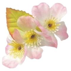 ���ԁ@�V���N�t�����[�@���@SK-001�@100���y���񂹏��i�E���[�s�z