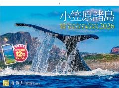 �ʐ^�H�[�J�����_�[ | ���}������ 2026 �J�����_�[ �Ǌ|�� ���i �y���z���_�[�t 300�~400�z�X�}�z�ǎ�12���t