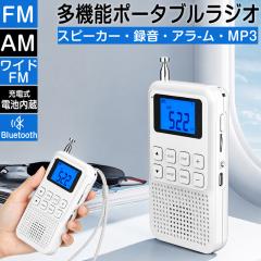 ソニー ポータブルラジオ ICF-B99 : FM/AM/ワイドFM対応 手回し充電