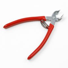 ���p�ߐ؂� �j�b�p�[�^ �b�艮�ސ� ���{��