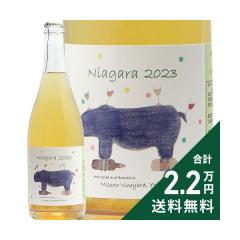 �s2.2���~�ȏ�ő��������t �~�\�m ���B�����[�h �i�C�A�K�� 2023 Misono Vineyard Naiagara �X�p�[�N�����O���C�� ���{ �k�C��