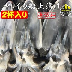 CJDЂ 2t Y ̂Ή Ε Mtg ϔ  E CJgp 葢 Ђ  ܂ hg 