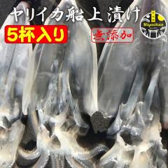 CJDЂ 5t Y ̂Ή Ε Mtg ϔ  E CJgp 葢 Ђ  ܂ hg 