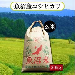 �����Y�R�V�q�J�� ���� 30kg �ߘa7�N�Y 1���� �������� �V�����Y �V������ ���� �ꓙ�� �����Ђ��� 30�L�� ���~ �|�C���g����