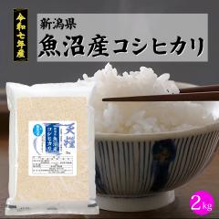 �ߘa7�N�Y �V���� �����Y ������ �R�V�q�J�� 2kg ���� �ꓙ��  �V�� �S�� �Â� ���� �����傫�� �V���Y �� 2025�N ����  �������� �M�t�g