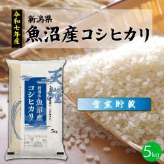 �����Y �R�V�q�J�� �Ꮊ���� �V�� �ߘa7�N�x�Y �ꓙ�� 5kg �V�� �V���Y �� 2025�N �S�� �Â� ���� �����傫�� ����  �������� �M�t�g ��