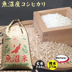 �����Y�R�V�q�J�� ���� 30kg ���ĉ\ �ߘa7�N�Y 1���� �������� �V�����Y �V������ ���ď����� ���� �ꓙ�� �����Ђ��� 30�L�� 27�L�� 