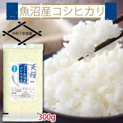 �ߘa7�N�Y �V���� �����Y ������ �R�V�q�J��300g �������� �|�C���g���� ���� �ꓙ��  �V�� �S�� �Â� ���� �����傫�� �V���Y �� 2025�N