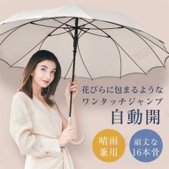 ���P ���J���p �傫�� 16�{�� �P ���� �J�P �W�����v �����^�b�`�� �Ռ� �ՔM �y�� ������� ���킢�� �Ԃт� ���n �ϕ� ��v ��� �v��