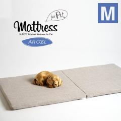 �u�y�b�g�p 2�܂荂�����}�b�g���X�@M�T�C�Y�i1200�~600�~30�j�G�A�N�[���v�@�@�@�􂦂�@���@�L�@�΍�Ƌ�