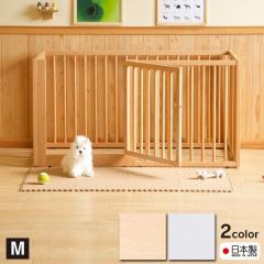 ���{���u�ؐ������^�b�`�y�b�g�T�[�N���@M�T�C�Y�v�@�y�b�g�T�[�N���@�܂肽���݁@���p�@�P�[�W�@�V�R��