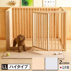 ���{���u�ؐ������^�b�`�y�b�g�T�[�N���@LL�T�C�Y �n�C�^�C�v�v�@�y�b�g�T�[�N���@�܂肽���݁@���p�@�P�[�W�@�V�R��