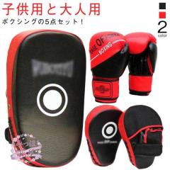 ISAMI・イサミ ボクシンググローブ ボクサーグローブ マジックベルト式