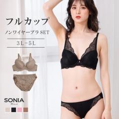 �t�@�V�l�C�g �m�����C���[�u���W���[ �V���[�c�Z�b�g�i3L�E4L�E5L�j�\�j�A�u���b�N �t���J�b�v �傫���T�C�Y �㉺�Z�b�g �u���Z�b�g �G
