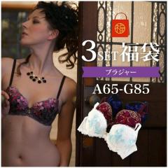���� A65-G85 ���C���[�u�� ���܂����R�_�Z�b�g ���������@���� ���� ���f�B�[�X �u�� �A���_�[65 �v�`�v�� ���킢�� �傫���T�C�Y F G 