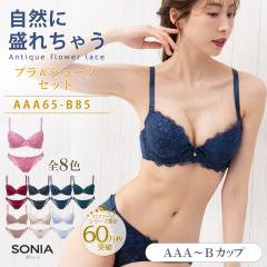 �u���W���[ �V���[�c�Z�b�g AAA�EAA�EA�EB�J�b�v ����� �A���e�B�[�N�t�����[���[�X ���C���[�u���W���[���V���[�c�Z�b�g �\�j�A�u���b