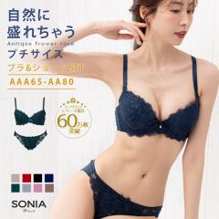 ����� �u���W���[ �V���[�c �Z�b�g �㉺�Z�b�g �A���e�B�[�N�t�����[���[�X�iAAA�EAA�J�b�v�j���C���[�u���W���[���V���[�c�Z�b�g �\�j