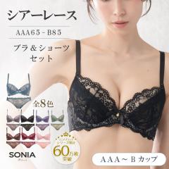 ���C���[�u�� �V���[�c�Z�b�g AAA�EAA�EA�EB�J�b�v �V�A�[���[�X �\�j�A�u���b�N ������ ���[�X �������T�C�Y �v�` �V���f�����T�C�Y ��