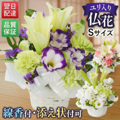������ �� ���� �y�b�g �����t�� ���� ������� ���� �@�� ���ފ� ���ԃA�����W�����g ���� S�T�C�Y �@�v �H�ފ�_ ���� �����