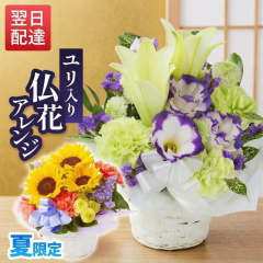 ������ �� ���� �A�����W�����g ���� ������� ���� �@�� ���� �u���[�~�[ bloomee �l�\��� ����� �y�b�g ���O �����z�� �������� ����