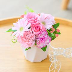 �y�����z���Y13���z��̓�  �ԑ� �� �o�� ���� �؂�� ���� �M�t�g �a���� ���j�� ���� �M�t�g �a���� �� �t�����[�A�����W �A�����W����