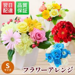 ��̓�  �ԑ� �� �o�� ���� �؂�� ���� �M�t�g �a���� ���j�� ���� �M�t�g �a���� �� �t�����[�A�����W �A�����W�����g �L�O�� �t�����[