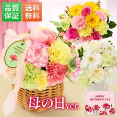 �y500�~�I�t�N�[�|���L�z ��̓� �ԑ� �� �o�� ���� �؂�� ���� �M�t�g �a���� ���j�� ���� �M�t�g �a���� �� �t�����[�A�����W �A����