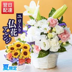 ������ �� ���� ���� ������� ���� �@�� ���ފ� ���ԃA�����W�����g �y�b�g ���� M�T�C�Y �����t�� ������ �� �@�v�H�ފ�_ ���� �����