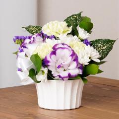 ������ �� ������� ���� �y�b�g ���� �@�� ���ފ� ���ԃA�����W�����g �y�b�g ���� XS�T�C�Y �����t�� ������ �� �@�v�H�ފ� ���� ���
