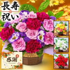 �����j�� �t�����[�A�����W�����g �җ� ��� �Ď� �P�� ���� �ԑ� �� �M�t�g �v���[���g �a���� �c�� �c�� �� �� ���N�� ���N �u���[�~�[