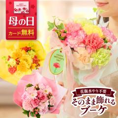 �y500�~�I�t�N�[�|���L�z ��̓� �� �ԑ� ���̂܂܏����u�[�P �a���� �v���[���g ���� �M�t�g S�T�C�Y �I�ׂ�J���[ �������� ���j�� 