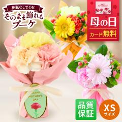 �y500�~�I�t�N�[�|���L�z ��̓� �� �ԑ� ���̂܂܏����u�[�P �a���� �v���[���g ���� �M�t�g S�T�C�Y �I�ׂ�J���[ �������� ���j�� 