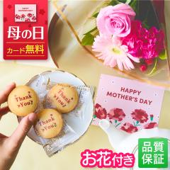 �y500�~�I�t�N�[�|���L�z ��̓� �ԂƃZ�b�g ���� �v�����g�N�b�L�[ ���y�o�^�[�T�u�� �V�[�L���[�u C3 �M�t�g �a���� �� ���� �X�C�[�c 