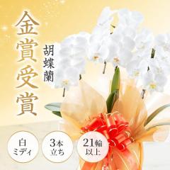 ��̓� �Ӓ����i���j �~�f�B 3�{���� 21�ֈȏ� ���j�� ���� �~�j �~�f�B�Ӓ��� ���ԃM�t�g �I�ׂ郉�b�s���O �� �a���� �M�t�g �v���[��